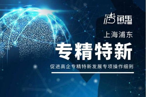 上海浦東新區(qū)促進高新技術(shù)企業(yè)專精特新發(fā)展技術(shù)服務專項操作細則