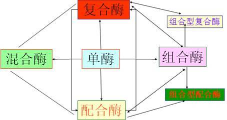飼用酶制劑的產(chǎn)品現(xiàn)狀與技術(shù)開發(fā)路線升級——基于馮定遠教授BFC會議報告