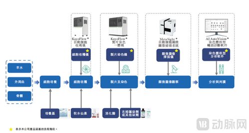 德適IPO上市首日開盤大漲121%，醫療影像AI迎來“大模型時代”新標桿
